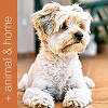 Aloe Vera Animals and Home products page