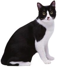 Aloe Vera products for your animals too.